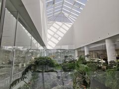 -罗红摄影艺术馆