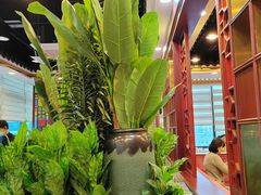 -点都德(龙之梦店)