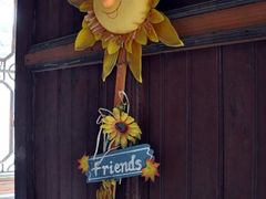 -小雅青年旅舍(平江路店)