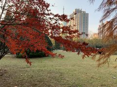 -宋庆龄陵园