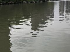 -金山公园
