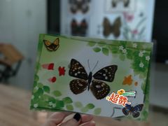 -上海昆虫博物馆