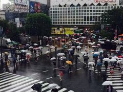 -涩谷全向十字路口