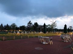 -轻井泽王子购物广场