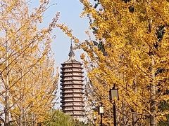 -西海子公园