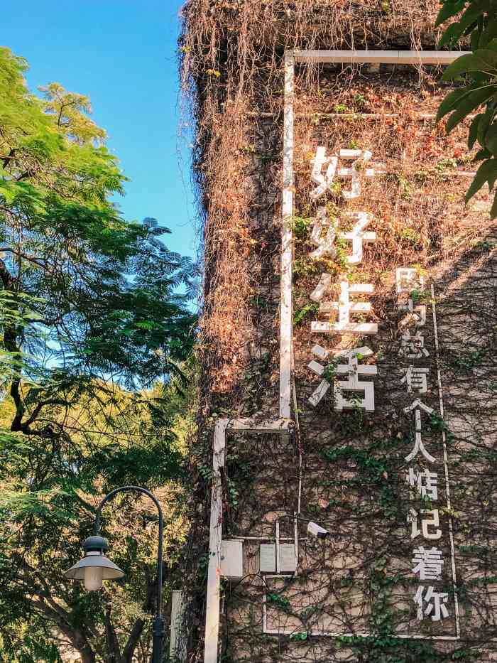 树德生活馆(t.i.t创意园店)-"收藏佐好耐,一直都无去,终於呢个周末.