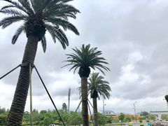 -舟山希尔顿酒店