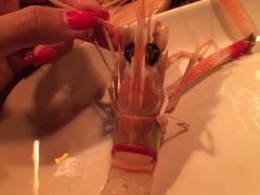 -斯普汇生蚝牛排馆(中骏世界城店)
