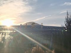 -北京植物园-展览温室