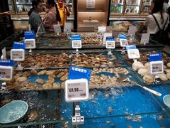 水产区-盒马鲜生(皇庭广场店)
