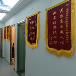 -北京丽星翼美医疗美容