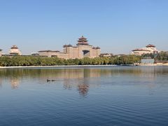 -莲花池公园