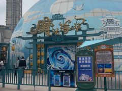 -海合安武汉极地海洋公园