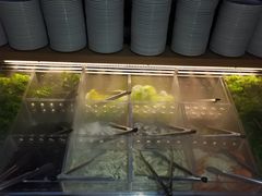 -火炉火自助餐(枫蓝国际店)