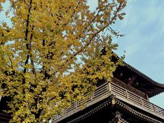 -香积寺