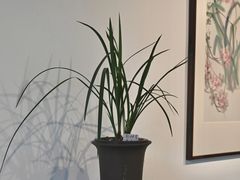 -成都杜甫草堂博物馆