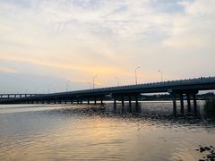 -绿堤公园