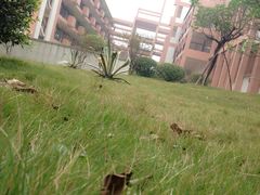 -广东财经大学(佛山校区)