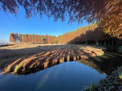 -捞渔河湿地公园