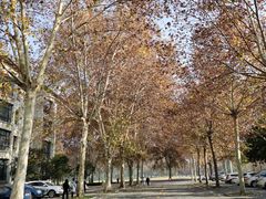 -河南省黄河迎宾馆