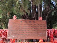 -四门塔风景区