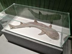 -石家庄海洋公园