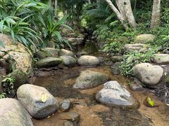 -深圳仙湖植物园