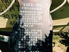 -白沙湾海滩