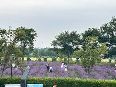 -季高兔窝窝亲子园(上海薰衣草公园店)