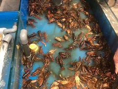 -星伦多海鲜自助餐厅(万达百货店)
