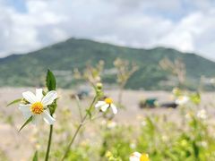 -北岐滩涂