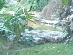 -海南热带野生动植物园