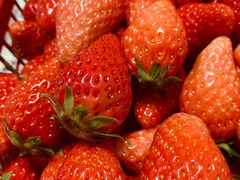 -馥家小馆(黔灵山公园店)