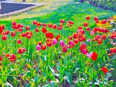 -苏州公园(双塔街道)