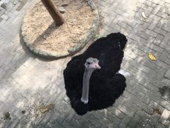 -武汉紫薇都市田园