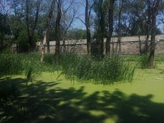 -永定河休闲森林公园