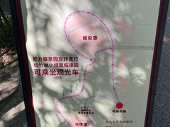 -都江堰中华大熊猫苑
