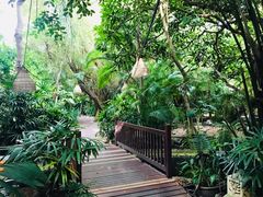 -卷心菜和避孕套餐厅(Pattaya)