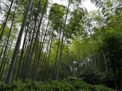 -杭州黄龙洞