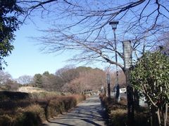 -名古屋城