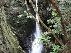 -宁波五龙潭景区