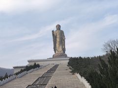 -中原大佛景区