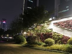 -西北湖绿化广场