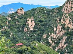 -大岭沟猕猴桃谷风景区