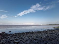 -上海吴淞炮台湾国家湿地公园