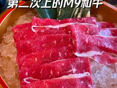 -牛New寿喜烧(金鹰世界店)