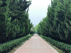 -洛阳市隋唐城遗址植物园