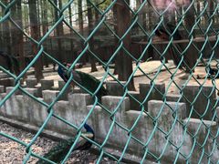 -南京金牛湖风景区