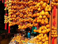 -香山公园