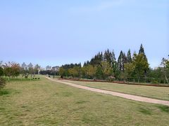 -杭州城北体育公园